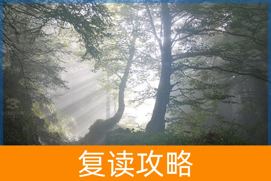 高考复读:方法论胜于努力